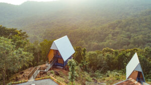 DJI_0199